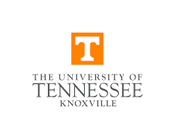University of TN Knoxville